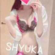 ヒメ日記 2026/01/11 12:49 投稿 SHYUKA TALL