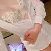 ヒメ日記 2025/12/23 22:14 投稿 かなで コスプレ系オナクラ ティンカーベル