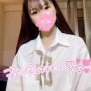 ヒメ日記 2025/04/19 16:46 投稿 あやせ Candy×Candy （キャンディ×キャンディ）