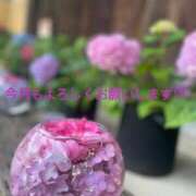 ヒメ日記 2025/06/02 19:09 投稿 相原りか 一夜妻