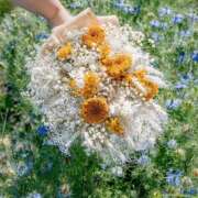 ヒメ日記 2024/12/15 15:59 投稿 瞳(ヒトミ) グランドオペラ名古屋