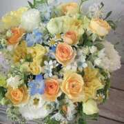 ヒメ日記 2024/12/27 17:39 投稿 瞳(ヒトミ) グランドオペラ名古屋