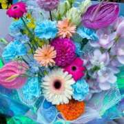 ヒメ日記 2025/01/05 17:04 投稿 瞳(ヒトミ) グランドオペラ名古屋