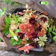 ヒメ日記 2025/01/05 16:59 投稿 瞳(ヒトミ) グランドオペラ名古屋