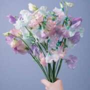 ヒメ日記 2025/03/05 21:14 投稿 瞳(ヒトミ) グランドオペラ名古屋