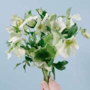 ヒメ日記 2025/03/06 08:59 投稿 瞳(ヒトミ) グランドオペラ名古屋