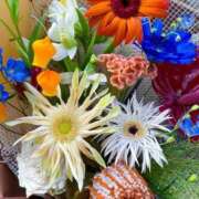 ヒメ日記 2025/03/27 01:59 投稿 瞳(ヒトミ) グランドオペラ名古屋