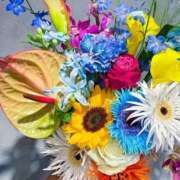 ヒメ日記 2025/04/04 01:49 投稿 瞳(ヒトミ) グランドオペラ名古屋