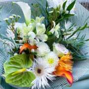 ヒメ日記 2025/04/16 01:59 投稿 瞳(ヒトミ) グランドオペラ名古屋