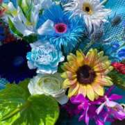 ヒメ日記 2025/04/19 03:19 投稿 瞳(ヒトミ) グランドオペラ名古屋