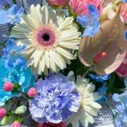 ヒメ日記 2025/04/29 17:20 投稿 瞳(ヒトミ) グランドオペラ名古屋