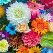 ヒメ日記 2025/06/06 18:59 投稿 瞳(ヒトミ) グランドオペラ名古屋