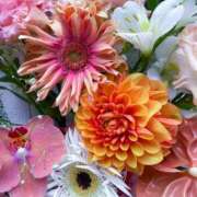 ヒメ日記 2025/06/11 00:36 投稿 瞳(ヒトミ) グランドオペラ名古屋