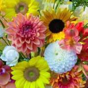 ヒメ日記 2025/06/15 19:09 投稿 瞳(ヒトミ) グランドオペラ名古屋