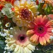 ヒメ日記 2025/07/22 17:29 投稿 瞳(ヒトミ) グランドオペラ名古屋