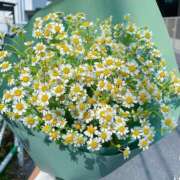 ヒメ日記 2025/08/07 12:40 投稿 瞳(ヒトミ) グランドオペラ名古屋