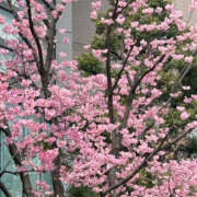 ヒメ日記 2025/05/02 17:14 投稿 みつき 奥鉄オクテツ兵庫