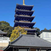 ヒメ日記 2026/01/19 12:04 投稿 みつき 奥鉄オクテツ兵庫