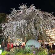 ヒメ日記 2025/04/07 19:19 投稿 ゆんな レモンカフェ