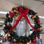 藤城　すずか いよいよ来週 セレブクィーン