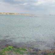 ヒメ日記 2026/02/13 15:28 投稿 藤城　すずか セレブクィーン