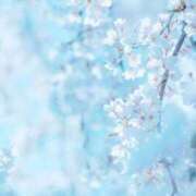 ヒメ日記 2025/03/27 19:16 投稿 小田 熟女の風俗最終章 新横浜店