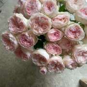 ヒメ日記 2025/06/01 19:18 投稿 小田 熟女の風俗最終章 新横浜店