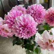 ヒメ日記 2025/06/12 13:17 投稿 小田 熟女の風俗最終章 新横浜店