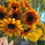 ヒメ日記 2025/07/29 16:16 投稿 小田 熟女の風俗最終章 新横浜店