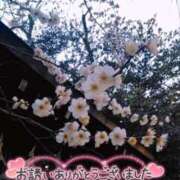 ヒメ日記 2025/02/24 23:33 投稿 香乃(かの) 人妻出逢い会 百合の園 池袋店