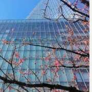 ヒメ日記 2025/03/11 10:04 投稿 香乃(かの) 人妻出逢い会 百合の園 池袋店