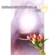 ヒメ日記 2025/04/07 22:53 投稿 香乃(かの) 人妻出逢い会 百合の園 池袋店