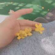 ヒメ日記 2025/04/30 23:53 投稿 香乃(かの) 人妻出逢い会 百合の園 池袋店