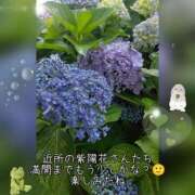 ヒメ日記 2025/06/14 15:43 投稿 香乃(かの) 人妻出逢い会 百合の園 池袋店