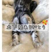 ヒメ日記 2025/08/18 05:33 投稿 香乃(かの) 人妻出逢い会 百合の園 池袋店