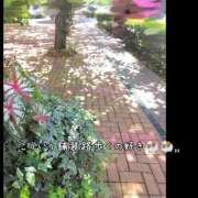 ヒメ日記 2025/10/08 13:13 投稿 香乃(かの) 人妻出逢い会 百合の園 池袋店