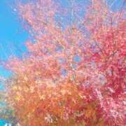 ヒメ日記 2025/12/16 15:33 投稿 香乃(かの) 人妻出逢い会 百合の園 池袋店