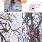 ヒメ日記 2026/02/18 01:33 投稿 香乃(かの) 人妻出逢い会 百合の園 池袋店