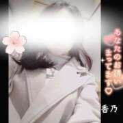 ヒメ日記 2026/03/08 13:33 投稿 香乃(かの) 人妻出逢い会 百合の園 池袋店