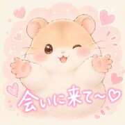 ひなた 楽しみ? 千葉松戸ちゃんこ