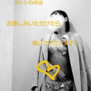 ヒメ日記 2024/12/19 02:02 投稿 れい 奥鉄オクテツ兵庫