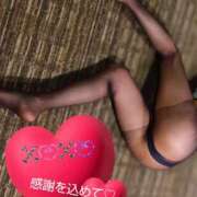 ヒメ日記 2024/12/26 14:38 投稿 れい 奥鉄オクテツ兵庫