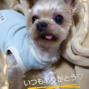 ヒメ日記 2024/12/29 13:00 投稿 れい 奥鉄オクテツ兵庫