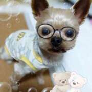 ヒメ日記 2025/02/05 16:43 投稿 れい 奥鉄オクテツ兵庫