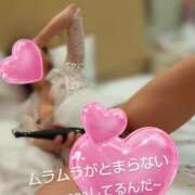 ヒメ日記 2025/03/22 15:57 投稿 れい 奥鉄オクテツ兵庫