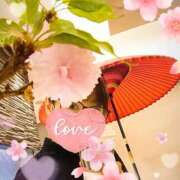 ヒメ日記 2025/04/02 01:47 投稿 れい 奥鉄オクテツ兵庫