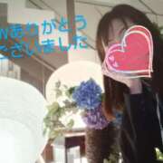 ヒメ日記 2025/05/07 15:44 投稿 れい 奥鉄オクテツ兵庫