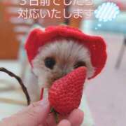 ヒメ日記 2025/05/14 19:56 投稿 れい 奥鉄オクテツ兵庫