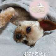 ヒメ日記 2025/06/17 17:12 投稿 れい 奥鉄オクテツ兵庫