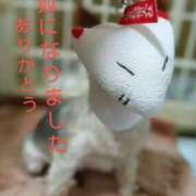 ヒメ日記 2025/06/18 15:57 投稿 れい 奥鉄オクテツ兵庫